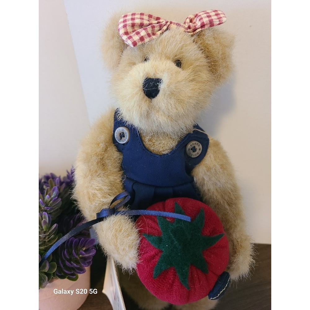 Boyds Bears Serendipity Wishkabibble Plush Bear with Tomato and Storybook NWT